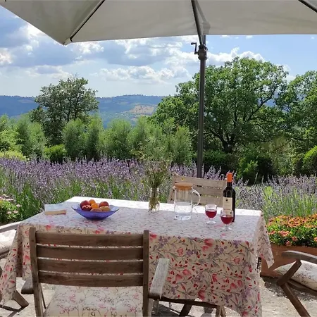 Podere Sant'angelo Apartment