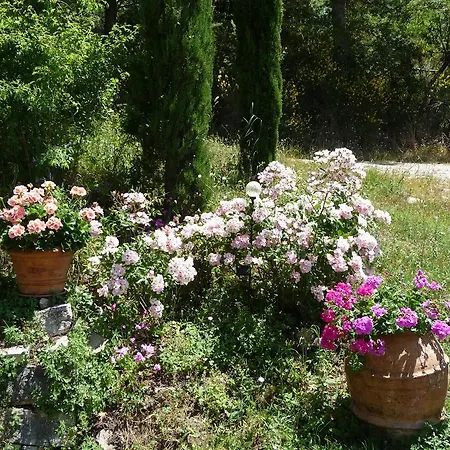 Appartement Podere Sant'angelo