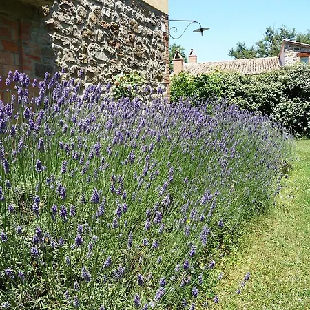 Apartment Podere Sant'angelo *