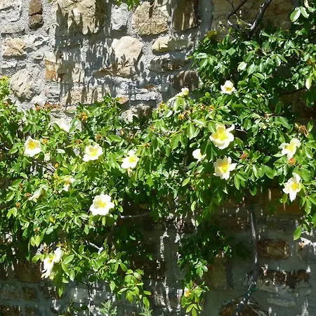 Daire Podere Sant'angelo Roccalbegna