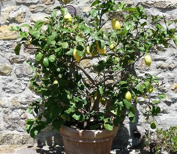 Podere Sant'angelo *