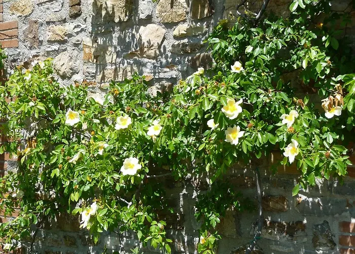 Lägenhet Podere Sant'angelo Roccalbegna