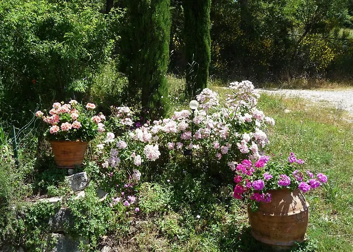 Lägenhet Podere Sant'angelo