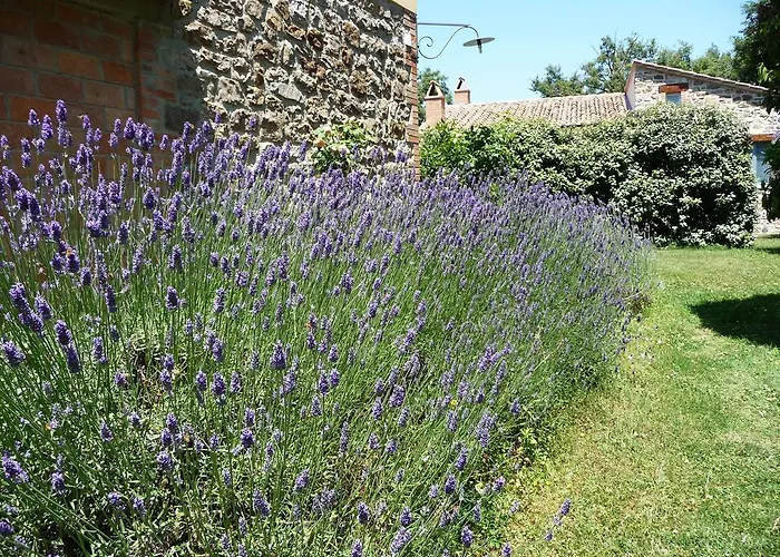 Apartment Podere Sant'angelo *