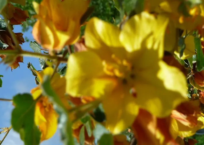 Podere Sant'angelo Roccalbegna